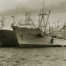 Netaikė: vis dėlto uostamiesčio mokslininkų padarytų atradimų Klaipėdos žvejybiniai laivai nenaudojo.