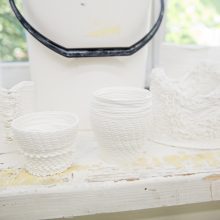 Eksperimentuoti kviečia kaulinis porcelianas, mikrobiologija ir 3D spausdintuvai