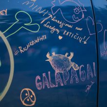 „Galapagai 2016“: festivalyje narkotinių medžiagų nerasta