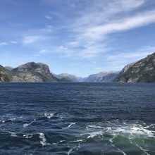 Slaugytojas Norvegijoje: čia dirbu, o ne ariu