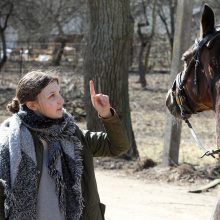 Atsigaunančiame Marvelės žirgyne – „Žirgų baletas“