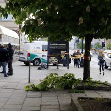 Policininkas Klaipėdoje iškrito iš medžio