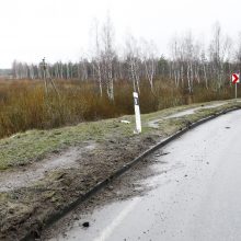 Nuo kelio nuskriejo BMW: keleivis žuvo, vairuotoja – sužeista