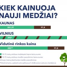 Kiek kainuos nauji medžiai Kaune?