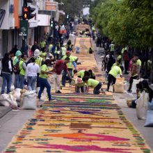 Gvatemaloje nutiestas rekordinio ilgio kilimas