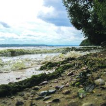 Išmėginkite šį maršrutą Kauno marių lanku