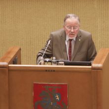 V. Landsbergis: keisti reikia ne įstatymus, o širdį