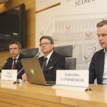 G. Landsbergis: Lietuvos demokratiją griauna valdančiųjų buldozeris