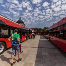 Vilniaus centre – rekordinis naujų autobusų labirintas
