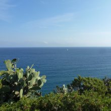 Sardinija – rojus Dievo pėdoje: kas čia vilioja labiausiai?
