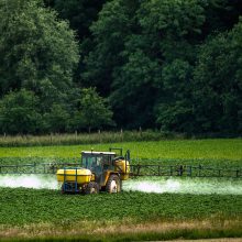 ES agentūra: herbicidas glifosatas nesukelia vėžio