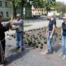 Poetas A. Mickevičius Vilniuje braidys po gėlių pievą