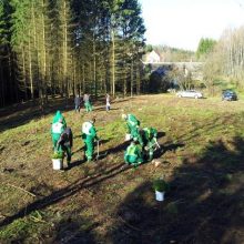 Žalias Vilnius: šeštadienį pasodinta 1 000 beržų ir pušelių sodinukų