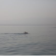 Dėl gamtosaugos idėjos 30 žmonių ryžosi perplaukti Negyvąją jūrą