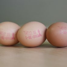 Užnuodyti kiaušiniai Lietuvos nepasiekė