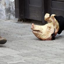 Prie Kauno sinagogos numesta kiaulės galva