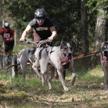 Jadagoniuose lenktyniaus šunų kinkiniai iš dešimties valstybių