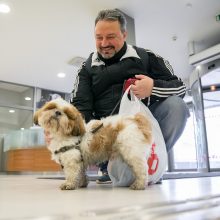 Vilniaus savivaldybėje – šuns diena: ir meras dirbo su augintiniu