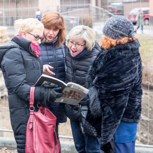 Piketas dėl Kauko laiptų medžių  © Vilmanto Raupelio nuotr.