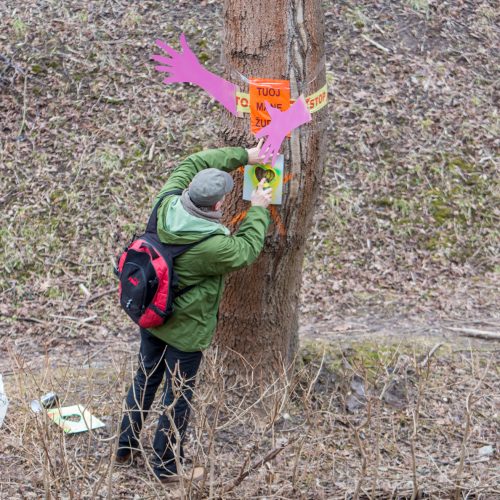 Piketas dėl Kauko laiptų medžių  © Vilmanto Raupelio nuotr.