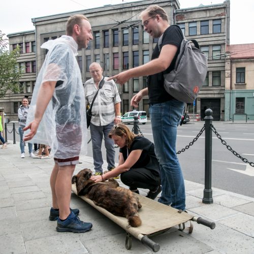 Netikėtumų festivalyje šturmuotas Parodos kalnas  © Vilmanto Raupelio nuotr.