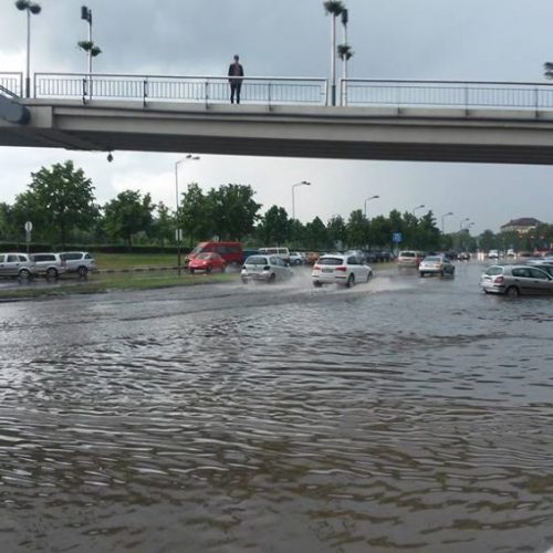 Kauną skandino liūtis  © Skaitytojų, 