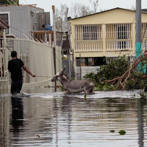 Uragano „Maria“ nuniokotas Puerto Rikas  © Scanpix nuotr.
