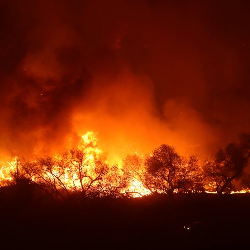 Pietų Kalifornijoje – nesutramdomi miškų gaisrai  © Scanpix nuotr.