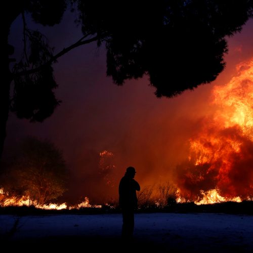 Graikijoje siaučia miškų gaisrai  © Scanpix nuotr.