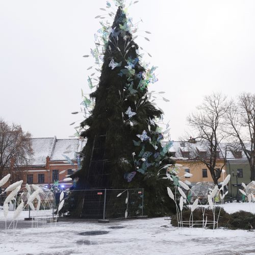 Kauno Rotušės aikštėje padegta miesto Kalėdų eglė  © Laimučio Brundzos nuotr.