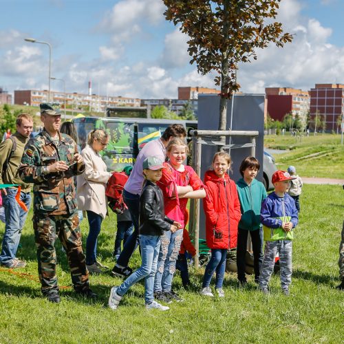 Aitvarų festivalis Klaipėdoje  © Vytauto Petriko nuotr.