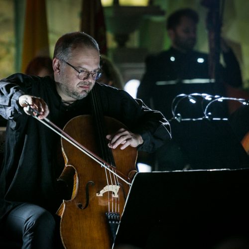 Koncertas „Dėlionė orkestrui IV“  © Vytauto Petriko nuotr.