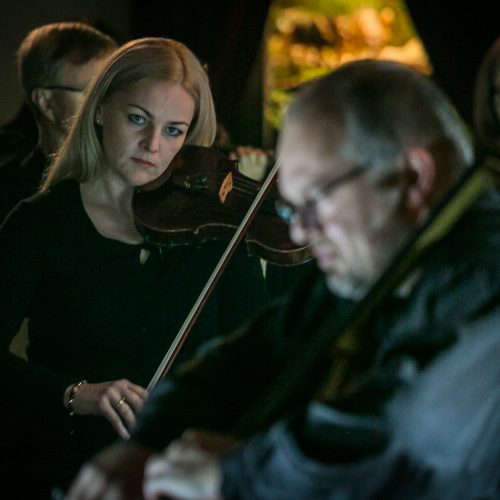 Koncertas „Dėlionė orkestrui IV“  © Vytauto Petriko nuotr.