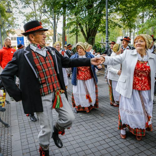 Palanga pražydo ir suskambo tarptautiniu folkloro festivaliu  © Vytauto Petriko nuotr.