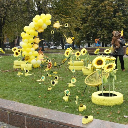 Uostamiesčio aikštės pražydo geltonai  © Vytauto Liaudanskio nuotr.