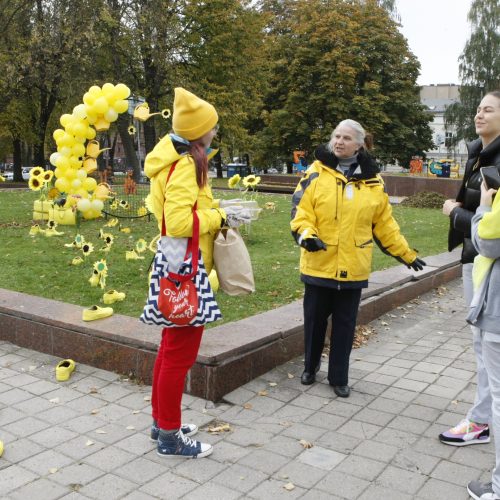 Uostamiesčio aikštės pražydo geltonai  © Vytauto Liaudanskio nuotr.