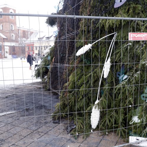 Kauno Rotušės aikštėje padegta miesto Kalėdų eglė  © Laimučio Brundzos nuotr.