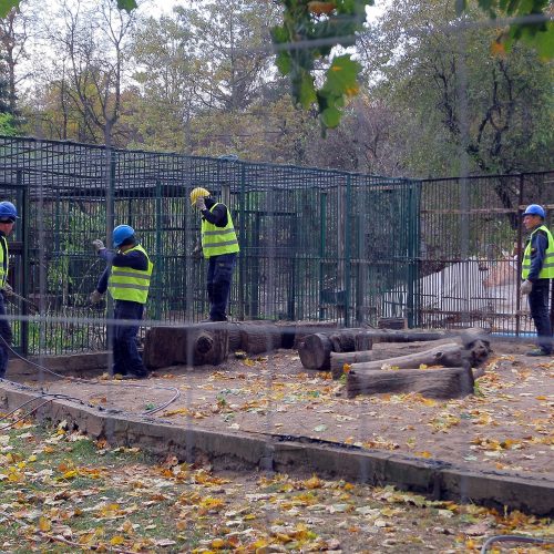 Kauno zoologijos sodo rekonstrukcija  © Laimučio Brundzos nuotr.