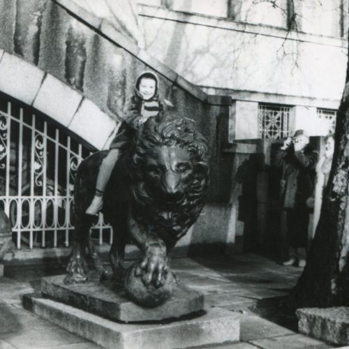 Tradicija – foto prie Karo muziejaus liūtų <span style=color:red;>(daugiau kaip 250 foto)</span>  © Akcijos dalyvių nuotr.