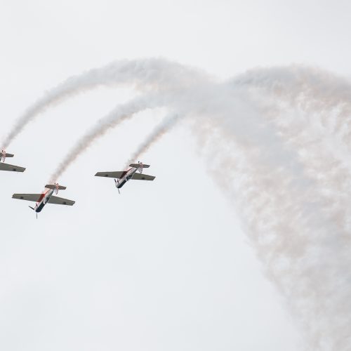 Aviacijos šventė S. Dariaus ir S. Girėno aerodrome <span style=color:red;>(2019)</span>  © Eitvydo Kinaičio nuotr.