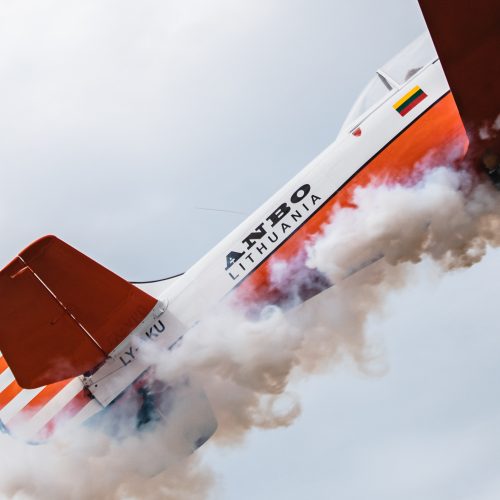Aviacijos šventė S. Dariaus ir S. Girėno aerodrome <span style=color:red;>(2019)</span>  © Eitvydo Kinaičio nuotr.