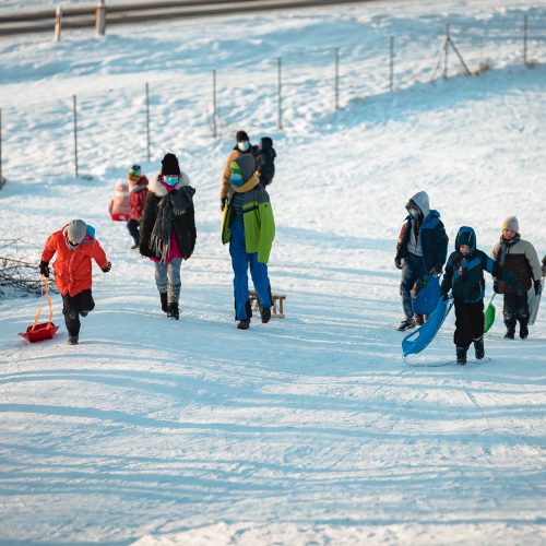 Kauniečiai ir toliau neatsispiria žiemos pramogoms  © Eitvydo Kinaičio nuotr.