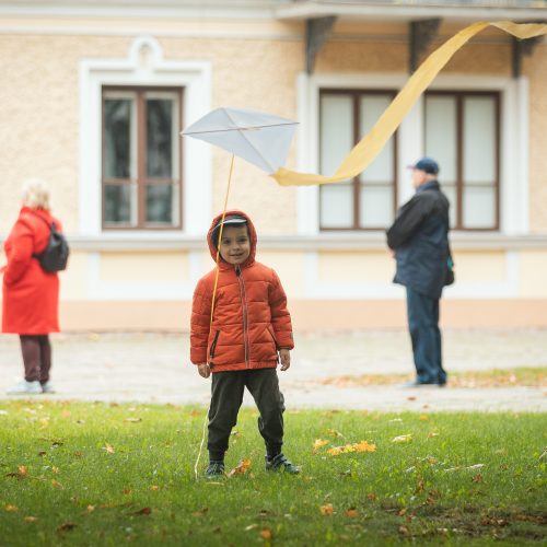 Tautinių bendrijų festivalis Kaune „Kultūrų sodas“  © Eitvydo Kinaičio nuotr.