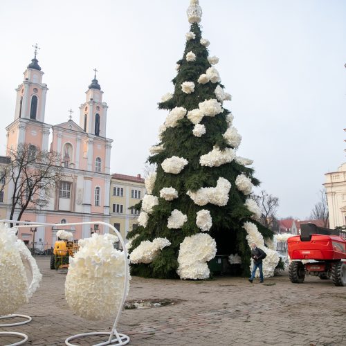 Kauno kalėdinės eglutės pristatymas  © Justinos Lasauskaitės nuotr.