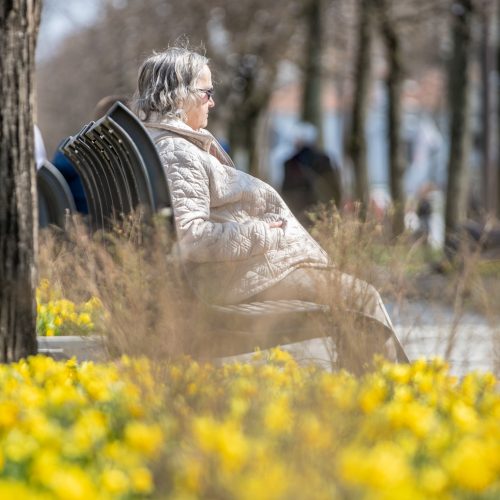 Kauniečiai džiaugėsi pavasarišku sekmadieniu  © Justinos Lasauskaitės nuotr.