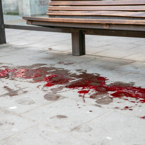 Kraujo klanas prie Kauno autobusų stoties  © Justinos Lasauskaitės nuotr.