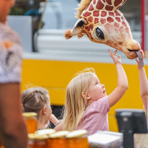 Kauniečius džiugina festivalio „ConTempo“ žirafos  © Justinos Lasauskaitės nuotr.