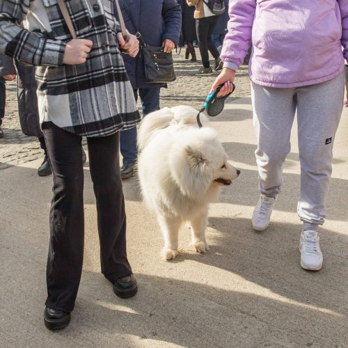 Kauno Kaziuko mugės šeštadienis  © Regimanto Zakšensko nuotr.