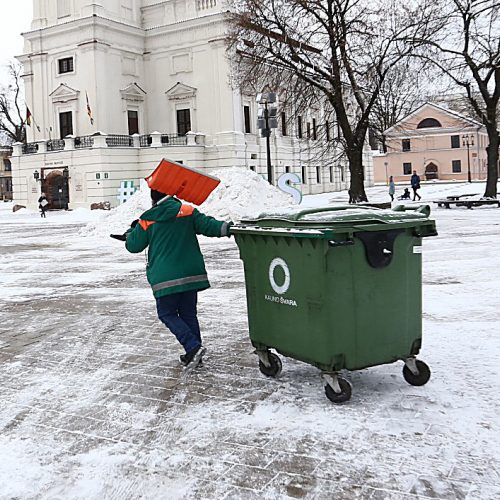 Nupuošiama Kauno eglė  © Aliaus Koroliovo nuotr.