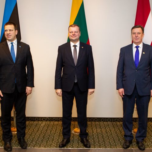Vilniuje susitinka trijų Baltijos šalių premjerai  © Pauliaus Peleckio / Fotobanko nuotr.